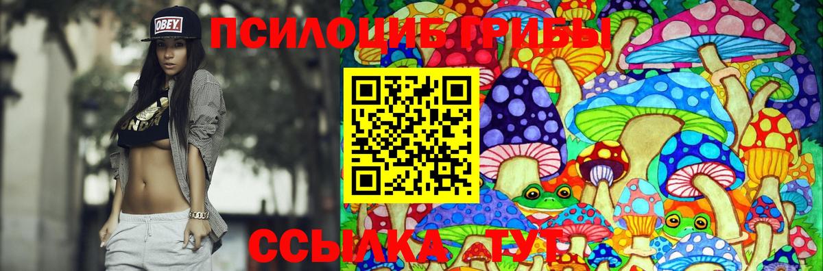 Псилоцибиновые грибы Psilocybine cubensis  Вход с VPN  Воскресенск  Псилоцибиновые грибы Cubensis 
